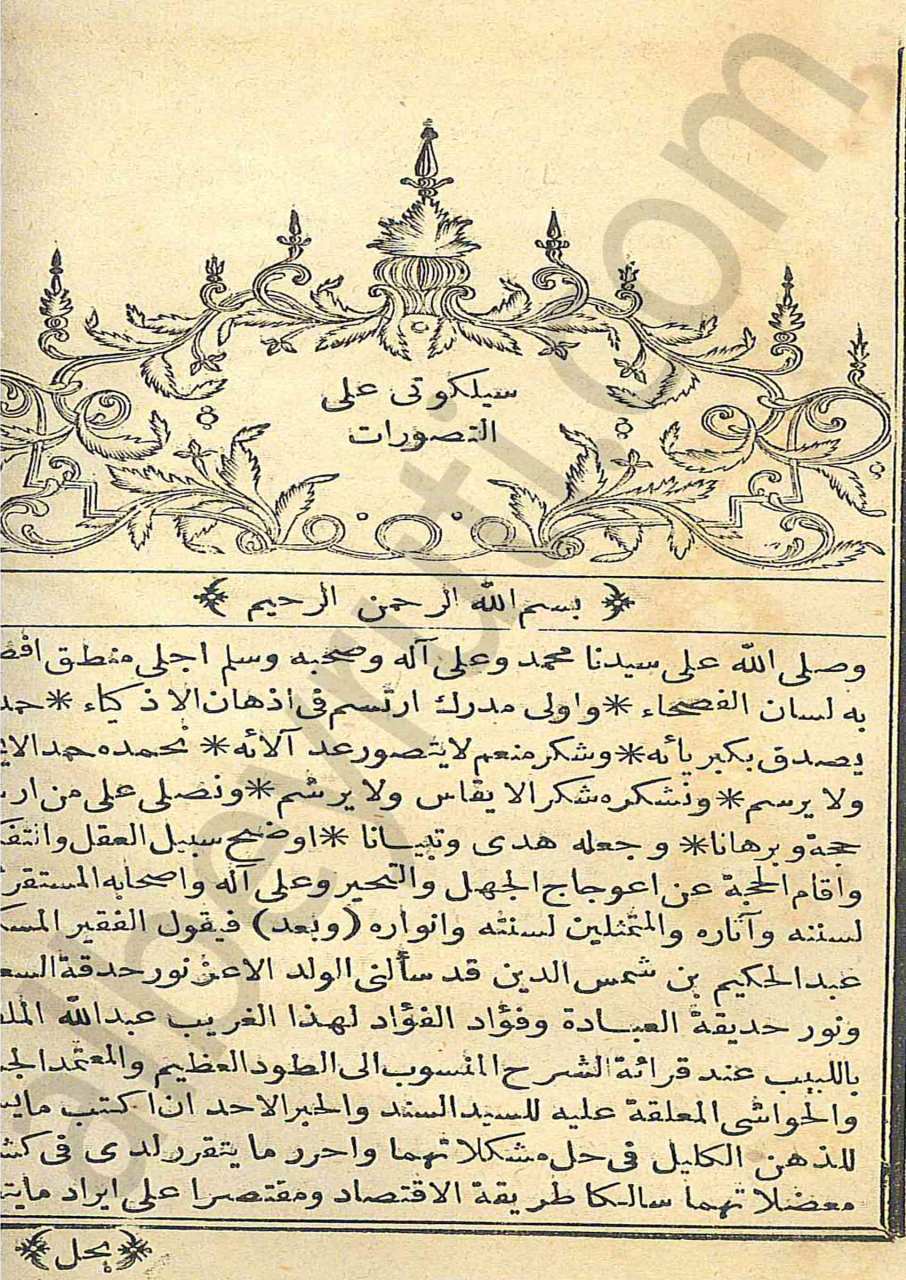 سيلكوتي على النصورات