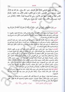 شرح قطر الندى وبلّ الصدى | Şerhu Katri'n-Neda