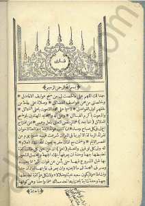 فوائد لايقة