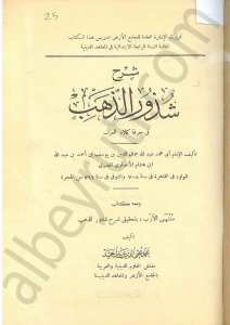 شرح شذور الذهب في معرفة كلام العرب