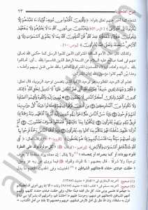شرح  العقيدة الطحاوية | Şerhü'l-Akideti't-Tahaviyye