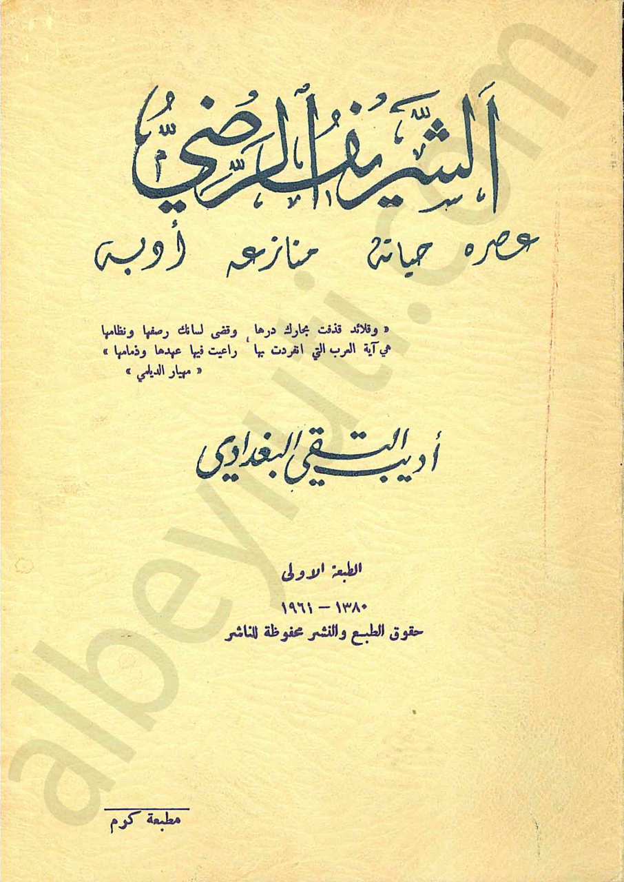 التاريخ الحربي المصري في عهد صلاح الدين الأيوبي
