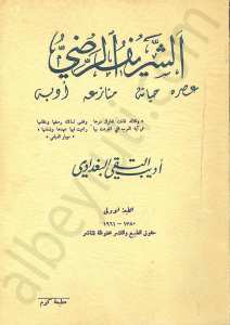 التاريخ الحربي المصري في عهد صلاح الدين الأيوبي