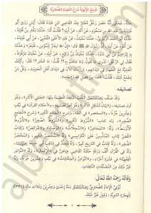 المنح الالهية شرح العقيدة الطحاوية | El-Minahu'l-İlahiyye