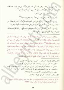 ضوء المعالي شرح بدء الامالي ومعه مختصر شرح البكري على بدء الأمالي | dau-ulmaali