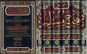 شرح صحيح مسلم | Şerhu Sahihi Müslim