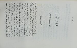 ضحى الإسلام