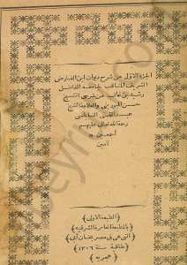 شرح ديوان ابن الفارض