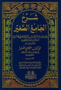 شرح الجامع الصغير | Şerhü'l-Cami-sseğir