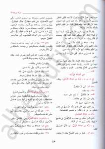 تهذيب التهذيب | Tehzibü'l-tezhib