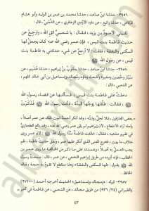 سنن الدارقطني | Sünenü'd-Darekutni